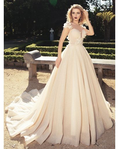 Sheer Bateau Neckline Princess Ball Gown with Shimmer Dust