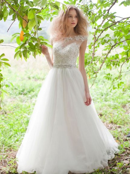 Illusion Boat Neckline Princess Ball Gown in Tulle